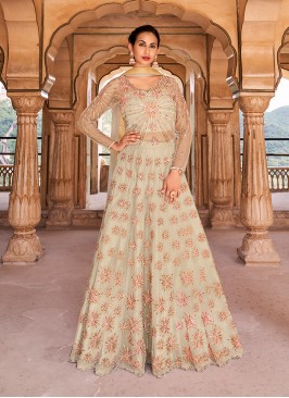 Beige Color Net Embroidered Gown