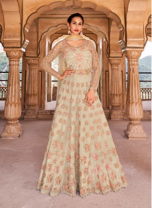 Beige Color Net Embroidered Gown