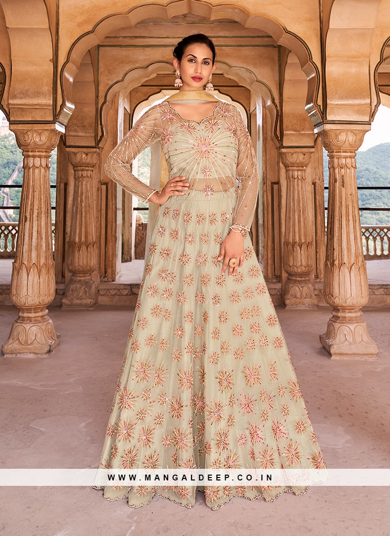 Beige Color Net Embroidered Gown