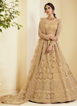 Beige Embroidered Net Lehenga Choli