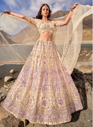 Beige Net Trendy Lehenga Choli