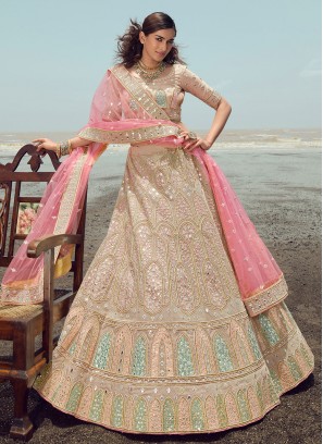 Beige Organza Lehenga Choli