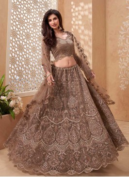 Brown Color Net Embroidered Lehenga Choli