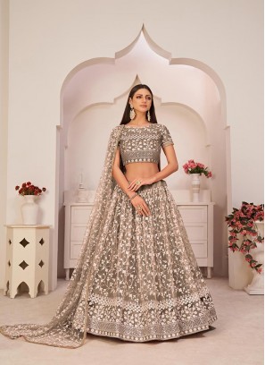 Brown Colour Mono Net Embroidered Work Lehenga