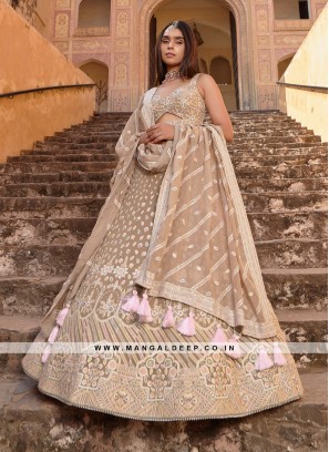 Chiku Georgette Lehenga with Embroidery and Handwork and Silk Blouse