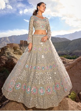 Glowing Organza Lehenga Choli