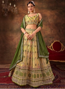 Imposing Trendy Lehenga Choli For Ceremonial