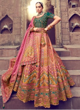 Multi Colour Embroidered Lehenga Choli