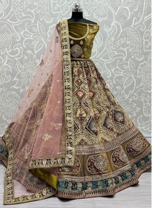 Spellbinding Velvet Dori Work Trendy Lehenga Choli