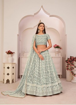 Turquoise Colour Mono Net Embroidered Work Lehenga